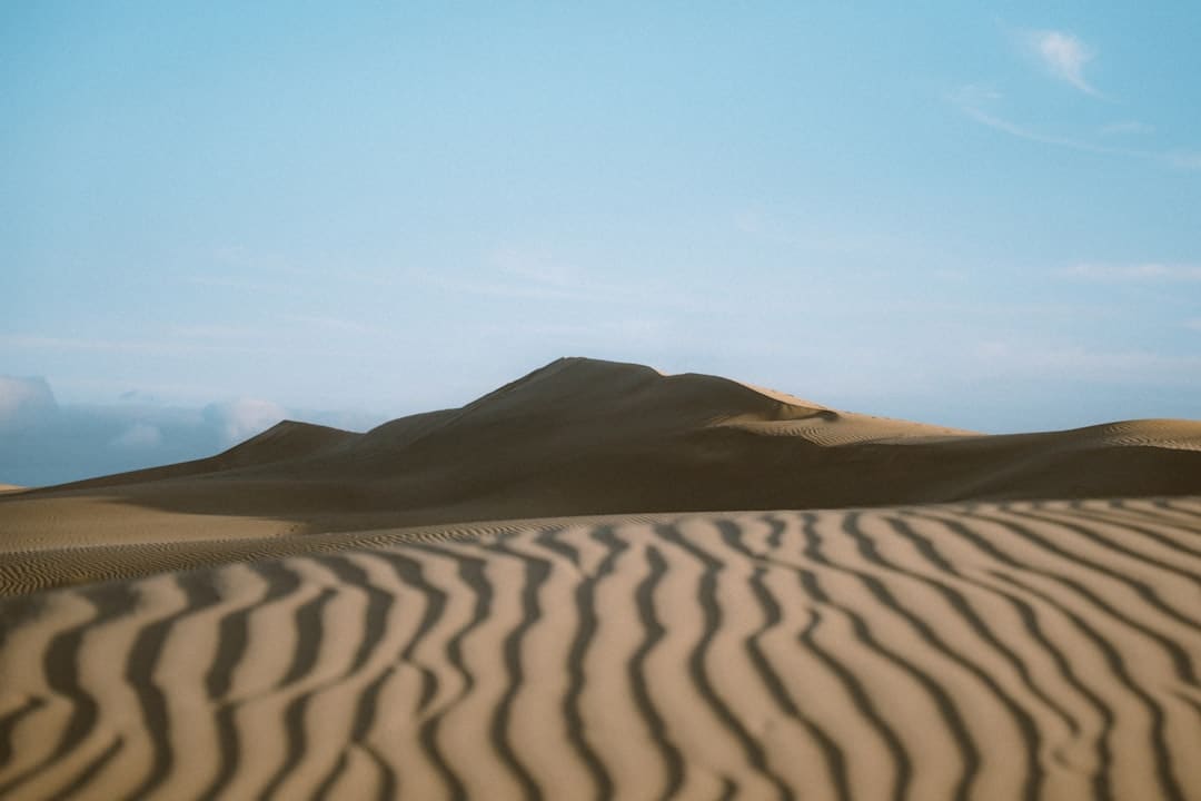 美的格力谁是榜首，我一点也不在意